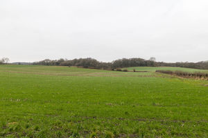 Photo 16- click for photo gallery